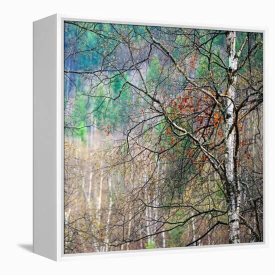 Kootenay Spring-Ursula Abresch-Framed Premier Image Canvas