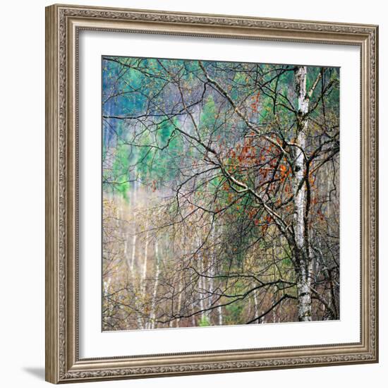 Kootenay Spring-Ursula Abresch-Framed Photographic Print