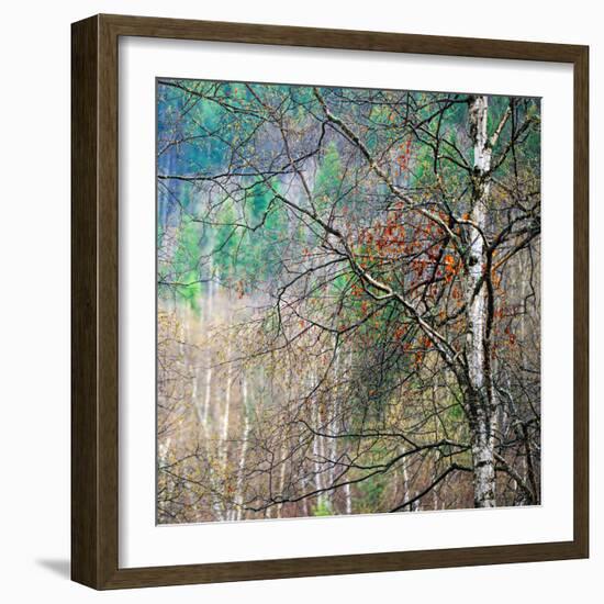 Kootenay Spring-Ursula Abresch-Framed Photographic Print