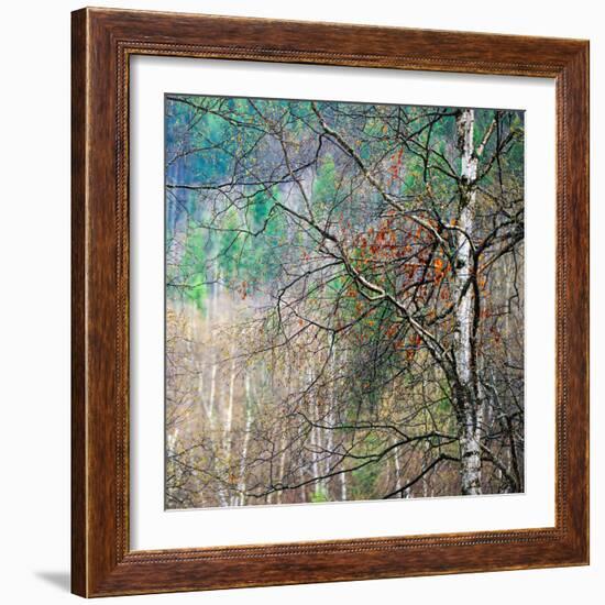 Kootenay Spring-Ursula Abresch-Framed Photographic Print