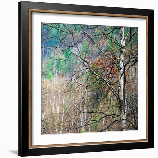 Kootenay Spring-Ursula Abresch-Framed Photographic Print