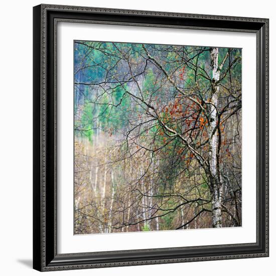 Kootenay Spring-Ursula Abresch-Framed Photographic Print