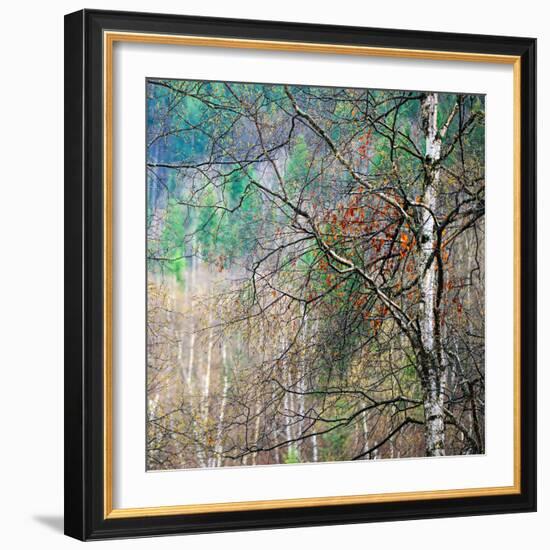 Kootenay Spring-Ursula Abresch-Framed Photographic Print