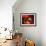 Kopf-Joan Miro-Framed Art Print displayed on a wall