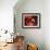 Kopf-Joan Miro-Framed Art Print displayed on a wall