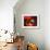 Kopf-Joan Miro-Framed Art Print displayed on a wall