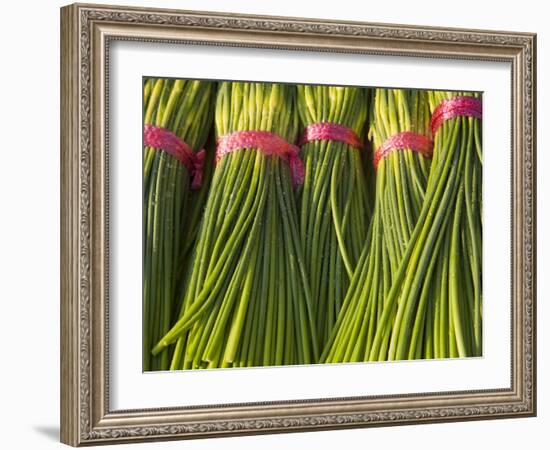 Korea, Gyeongsangnam-Do, BUSAn, Jalgalchi Market-Jane Sweeney-Framed Photographic Print