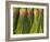 Korea, Gyeongsangnam-Do, BUSAn, Jalgalchi Market-Jane Sweeney-Framed Photographic Print