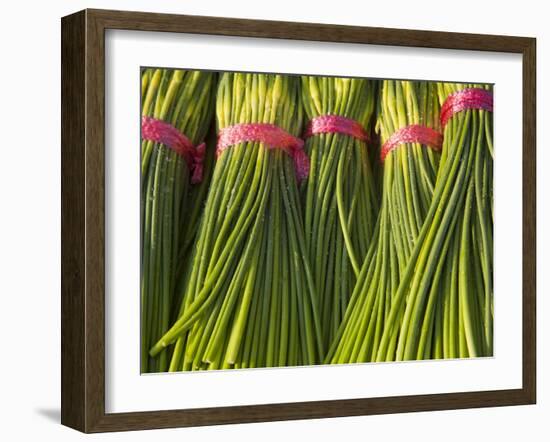 Korea, Gyeongsangnam-Do, BUSAn, Jalgalchi Market-Jane Sweeney-Framed Photographic Print