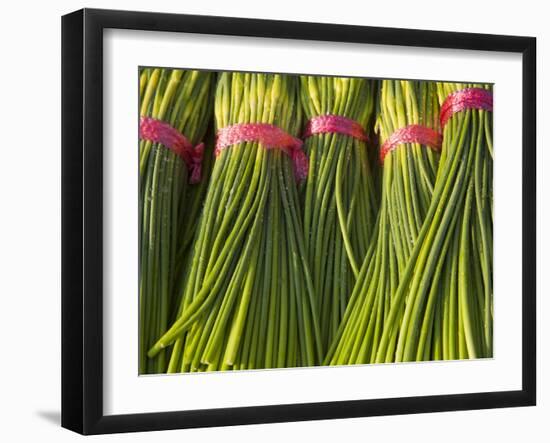 Korea, Gyeongsangnam-Do, BUSAn, Jalgalchi Market-Jane Sweeney-Framed Photographic Print