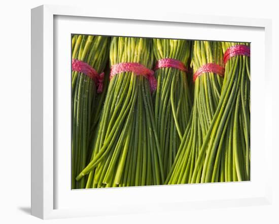 Korea, Gyeongsangnam-Do, BUSAn, Jalgalchi Market-Jane Sweeney-Framed Photographic Print