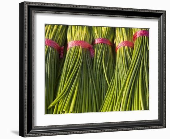 Korea, Gyeongsangnam-Do, BUSAn, Jalgalchi Market-Jane Sweeney-Framed Photographic Print