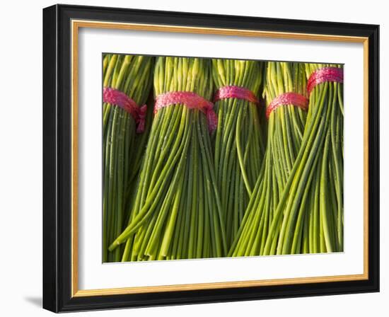 Korea, Gyeongsangnam-Do, BUSAn, Jalgalchi Market-Jane Sweeney-Framed Photographic Print