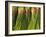 Korea, Gyeongsangnam-Do, BUSAn, Jalgalchi Market-Jane Sweeney-Framed Photographic Print