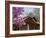 Korea, Seoul, Changdeokgung Palace, Cherry Blossom at Changgyeongggung Palace-Jane Sweeney-Framed Photographic Print