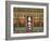 Korea, Seoul, Changdeokgung Palace,-Jane Sweeney-Framed Photographic Print