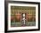 Korea, Seoul, Changdeokgung Palace,-Jane Sweeney-Framed Photographic Print