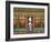 Korea, Seoul, Changdeokgung Palace,-Jane Sweeney-Framed Photographic Print