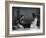 Korean Man and Woman Playing a Game Photograph - Korea-Lantern Press-Framed Art Print