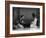 Korean Man and Woman Playing a Game Photograph - Korea-Lantern Press-Framed Art Print