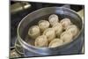 Korean mandu dumpling, New York City, NY, USA.-Julien McRoberts-Mounted Photographic Print