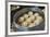 Korean mandu dumpling, New York City, NY, USA.-Julien McRoberts-Framed Premium Photographic Print