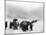 Korean Refugees Slog Through Snow Outside of Kangnung (Gangneung)-null-Mounted Photo