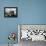 Korean War U.S. Land at Pohang-Associated Press-Framed Premier Image Canvas displayed on a wall