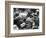 Korean War-Associated Press-Framed Photographic Print