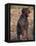 Korthal's Griffon / Wirehaired Pointing Griffon Portrait-Adriano Bacchella-Framed Premier Image Canvas