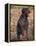 Korthal's Griffon / Wirehaired Pointing Griffon Portrait-Adriano Bacchella-Framed Premier Image Canvas