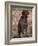 Korthal's Griffon / Wirehaired Pointing Griffon Portrait-Adriano Bacchella-Framed Photographic Print