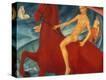 Stretched Canvas Print