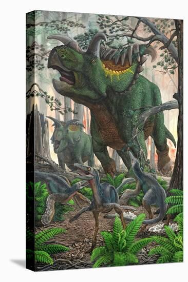 Stretched Canvas Print, , large