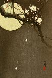 Goshawk on a Snow Covered Pine Branch-Koson Ohara-Giclee Print