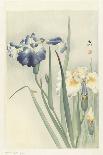 Iris and Egret-Koson Ohara-Giclee Print