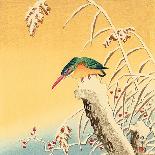 Blue Bird on a Plum Tree-Koson Ohara-Giclee Print