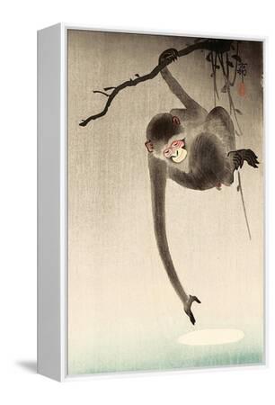 Monkey and Moon' Giclee Print - Koson Ohara | Art.com