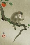 Sparrows and Wisteria-Koson Ohara-Giclee Print