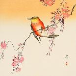 Bird and Red Ivy-Koson Ohara-Framed Giclee Print
