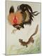 Premium Giclee Print