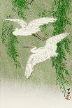 Five White Herons Standing in Water; Snow Falling-Koson Ohara-Giclee Print