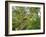 Kosrae, Micronesia. Ferns and other tropical plants climb a tree.-Yvette Cardozo-Framed Photographic Print