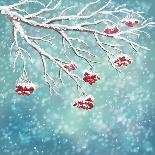 Winter Snow Covered Rowan Berry Background-kostins-Art Print