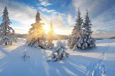 Winter Landscape with Sunrise in the Mountains, Path in the Snow, Carpathians, Ukraine, Europe-Kotenko-Photographic Print