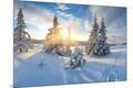 Photographic Print