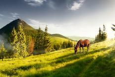 H Horse in a Pasture in the Mountain Valley. Landscape Morning Panorama of the Mountains in Summer-Kotenko-Photographic Print