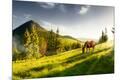Photographic Print