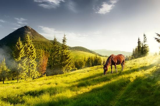 Photographic Print, , large