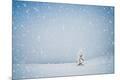 Premium Photographic Print